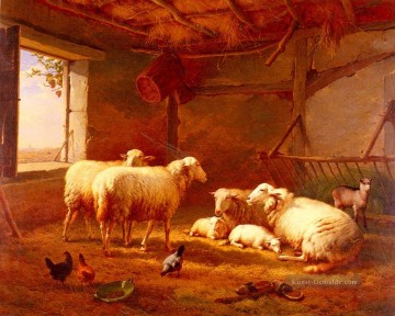 Eugène Joseph Verboeckhoven Werke - Schaf mit Hühnern und eine Ziege in einer Scheune Eugene Verboeckhoven Tier